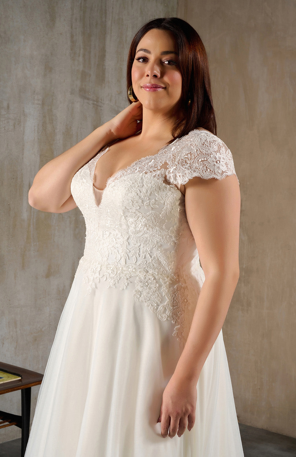 Close-up of V-neck lace bodice with delicate cap sleeves